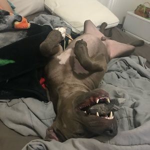 Meet your Posher, Anthony